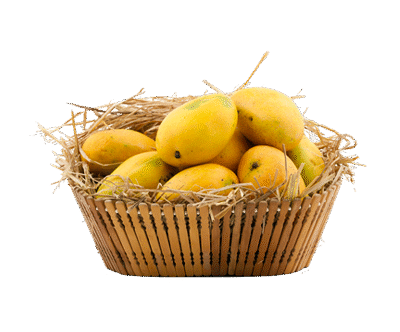 100% Premium Quality Garden Fresh Mango